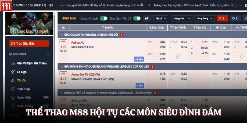 Thể thao M88 hội tụ các môn siêu đình đám